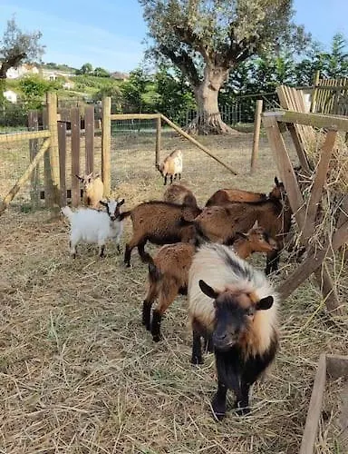 Casa Da Joana, Quinta Carmo - Alcobaça/nazaré